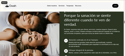 Sitio web (Terapia para negocios de mayor escala)