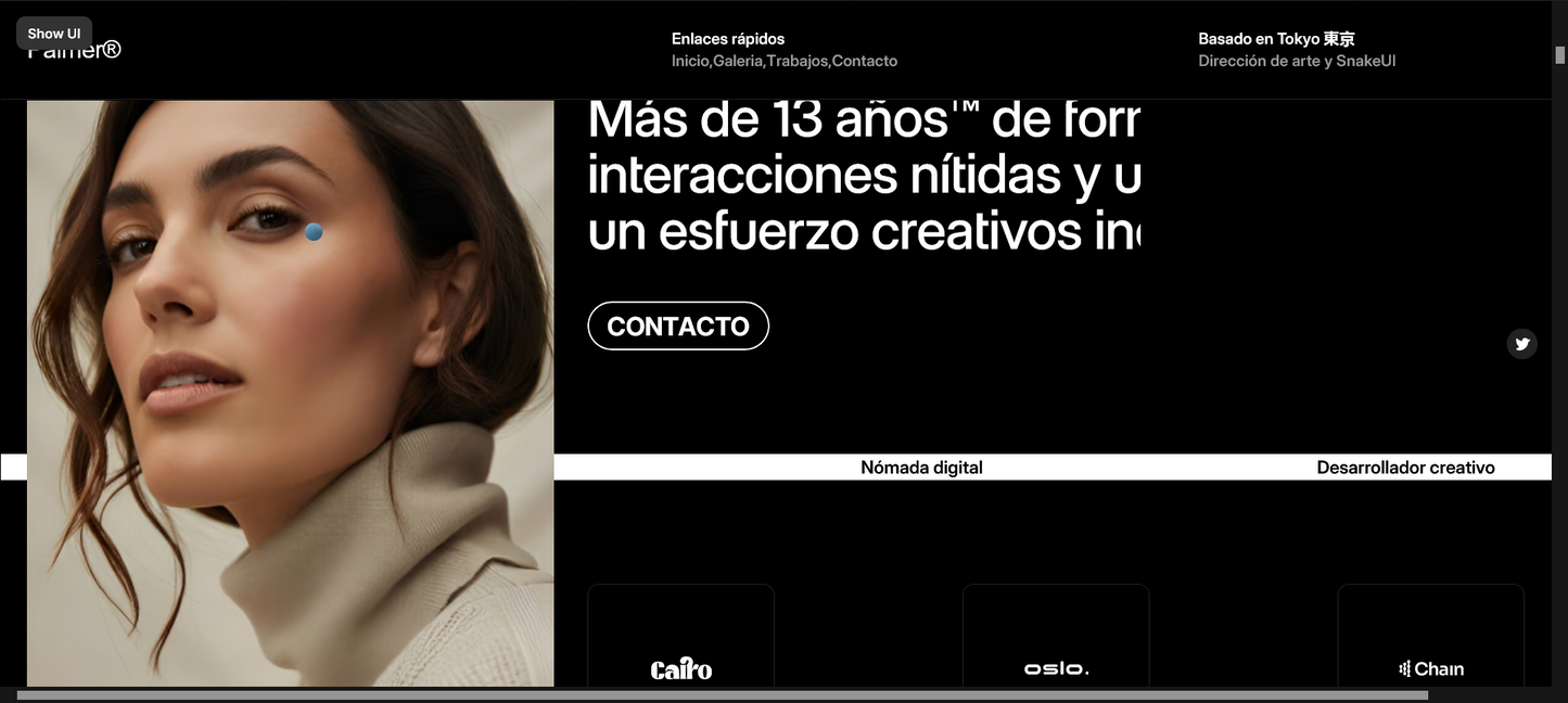 Sitio web (Portafol Diseñador artístico o gráfico)