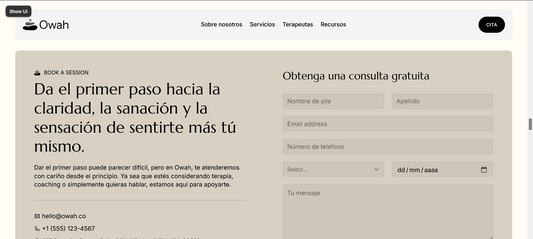 Sitio web (Terapia para negocios de mayor escala)
