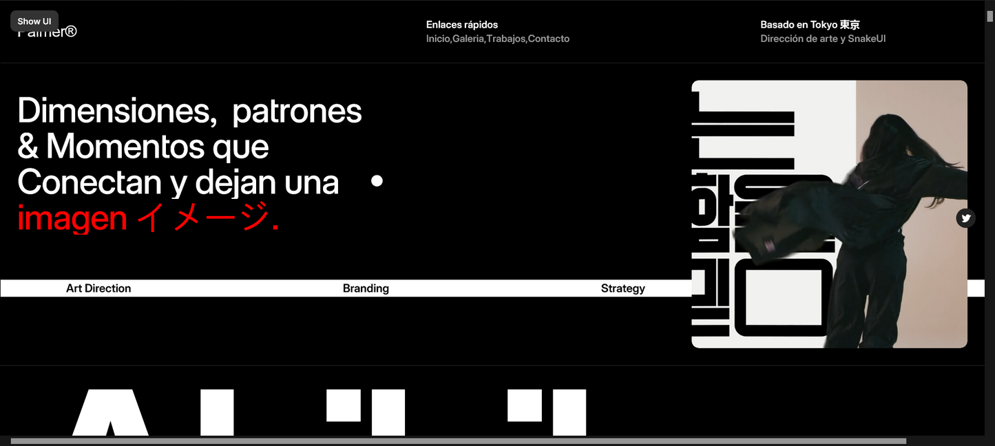 Sitio web (Portafol Diseñador artístico o gráfico)