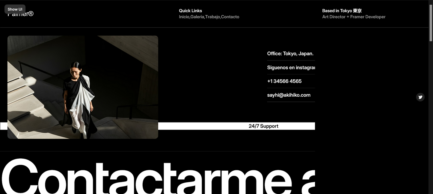 Sitio web (Portafol Diseñador artístico o gráfico)