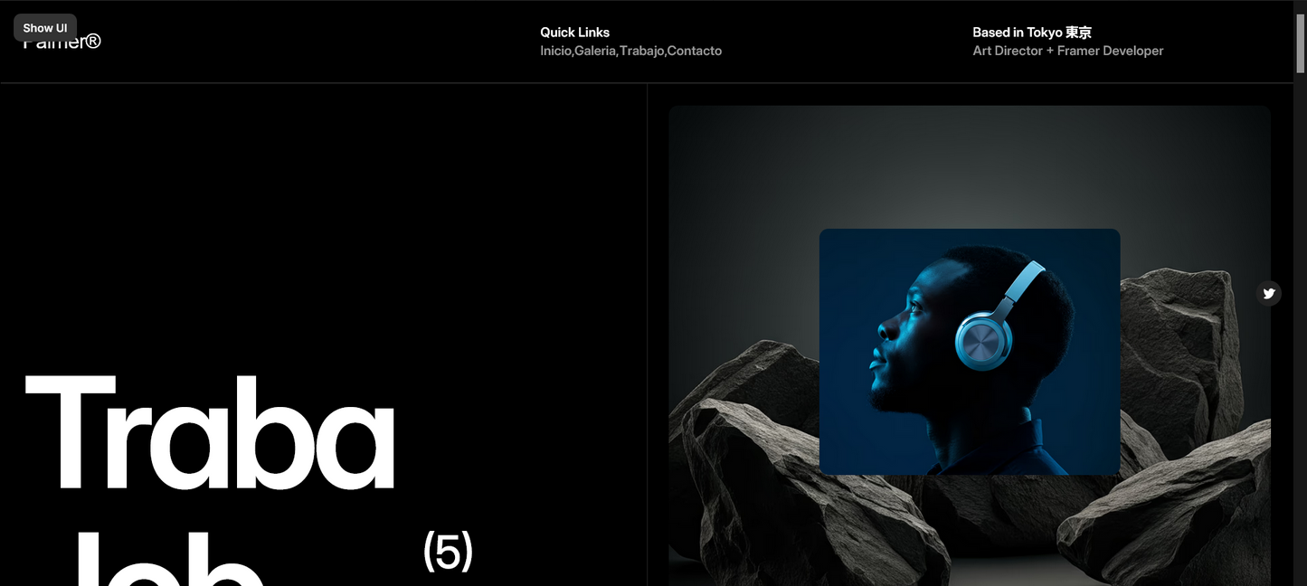 Sitio web (Portafol Diseñador artístico o gráfico)