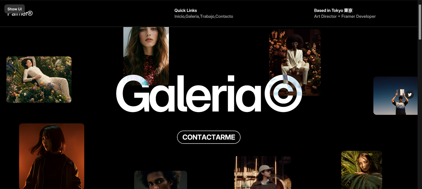 Sitio web (Portafol Diseñador artístico o gráfico)