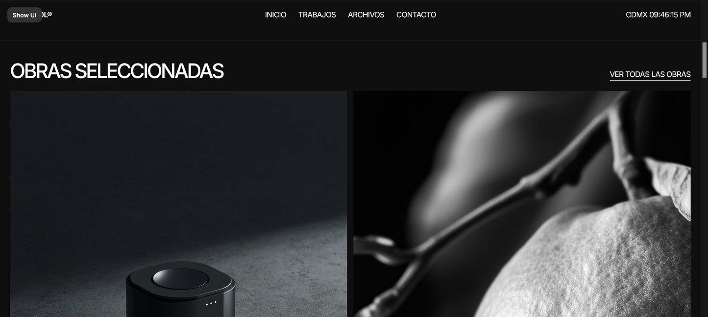 Sitio web (Portafol Diseñador gráfico)