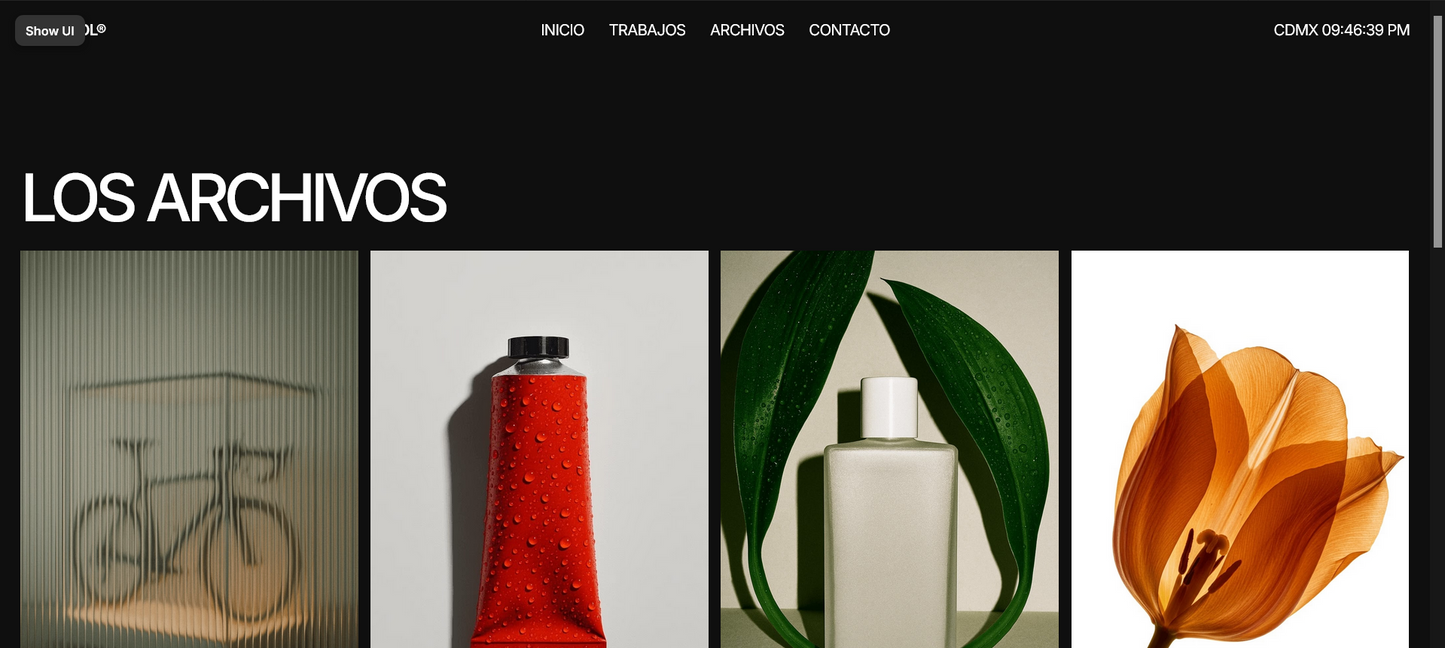 Sitio web (Portafol Diseñador gráfico)