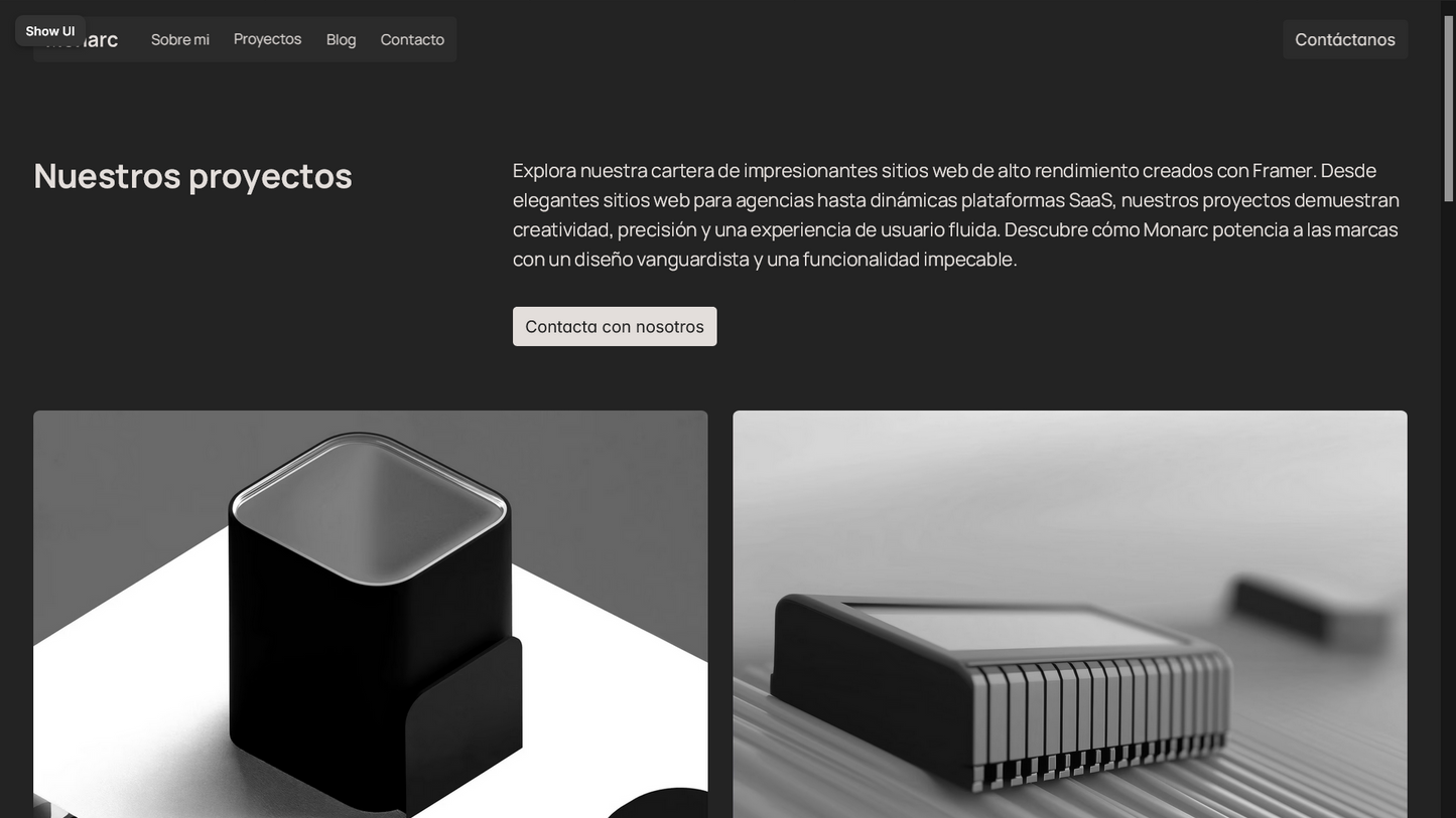 Sitio web (Portafolio diseñador)