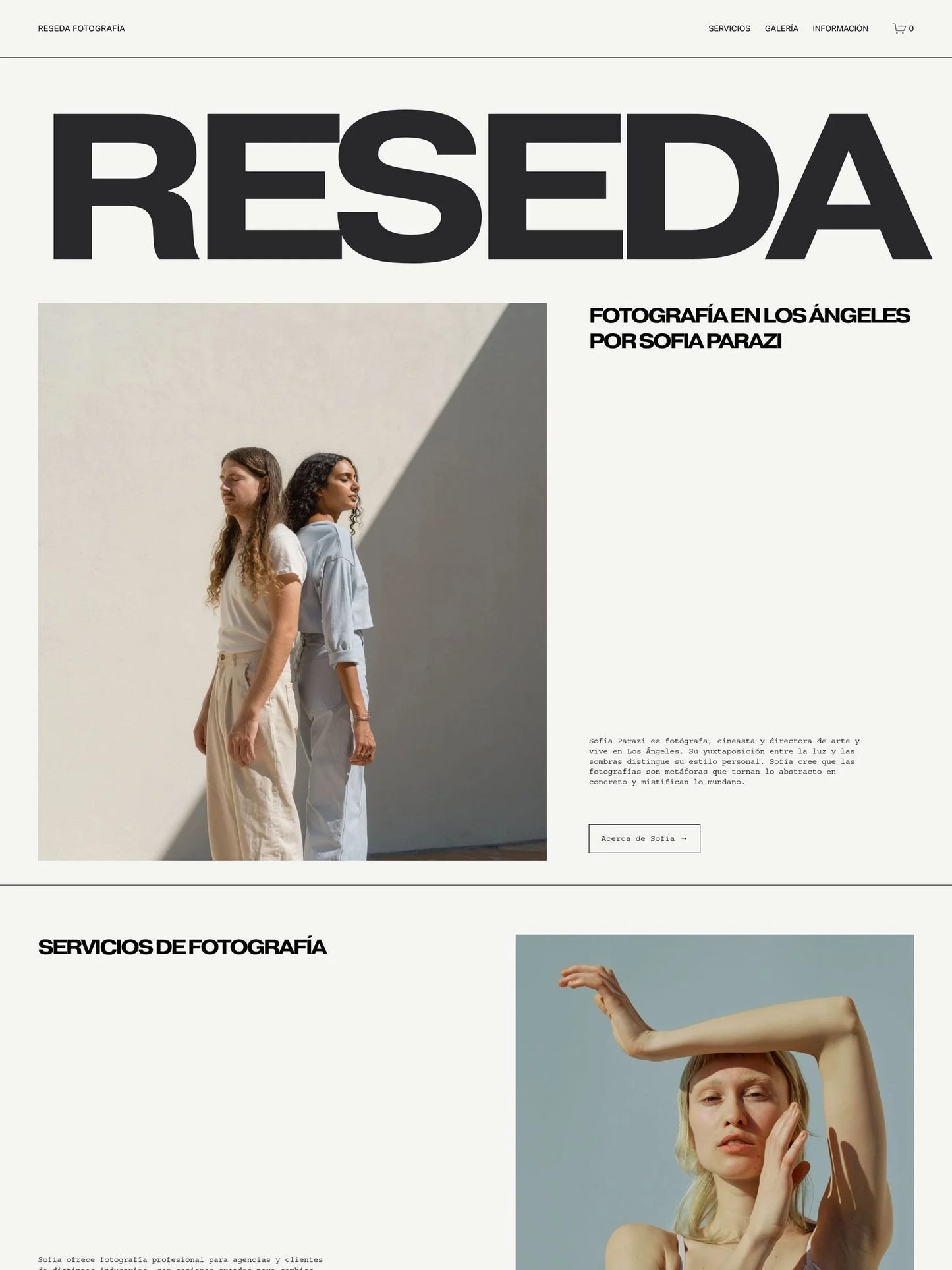 Sitios Webs (estaticos)