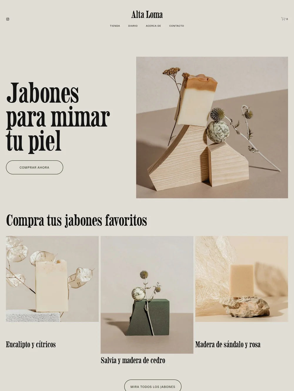 Sitios webs(E-Comerce)